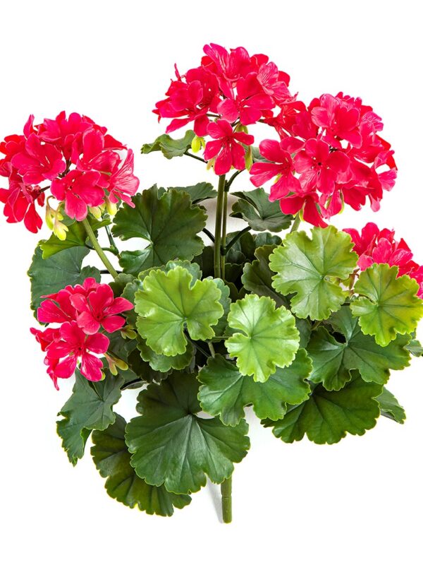 GERANIUM CESPUGLIO VIOLET - 39CM UV RESISTENTE