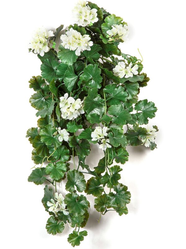 GERANIUM SOSPESA CESPUGLIO CREMA - 66CM UV RESISTENTE