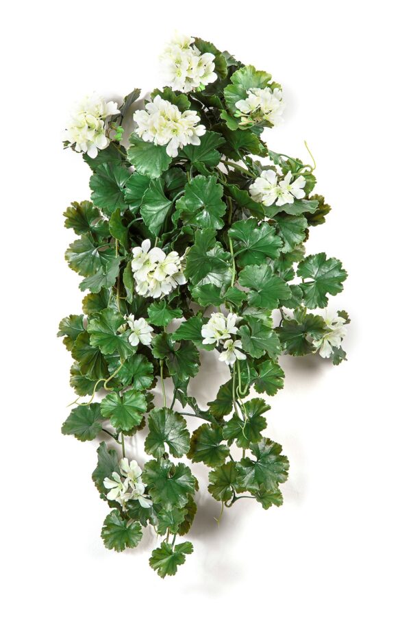 GERANIUM SOSPESA CESPUGLIO CREMA - 66CM UV RESISTENTE