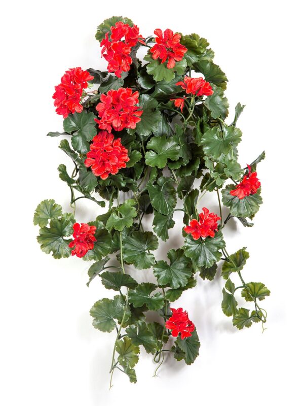 GERANIUM SOSPESA CESPUGLIO ROSSO-U - 66CM UV RESISTENTE