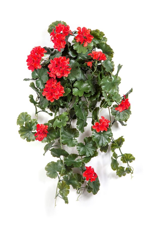 GERANIUM SOSPESA CESPUGLIO ROSSO-U - 66CM UV RESISTENTE