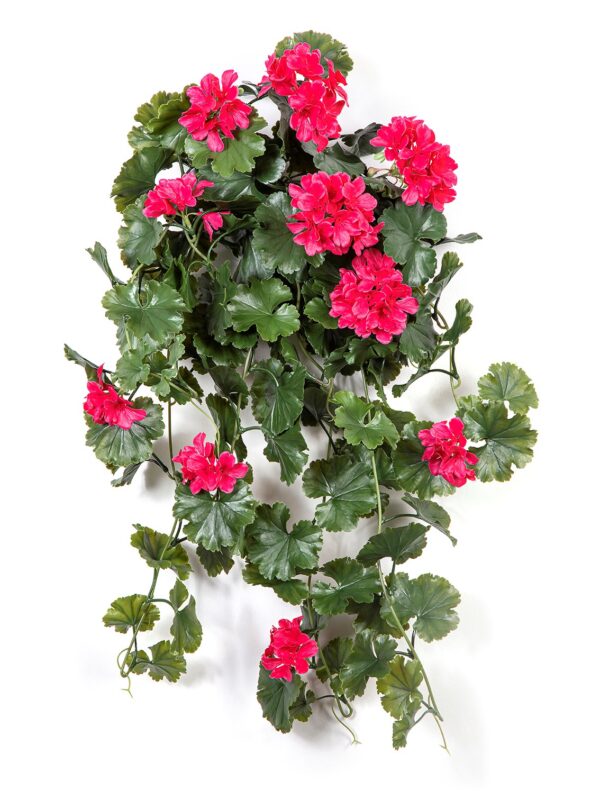 GERANIUM SOSPESA B, VIOLET- 66CM UV RESISTENTE