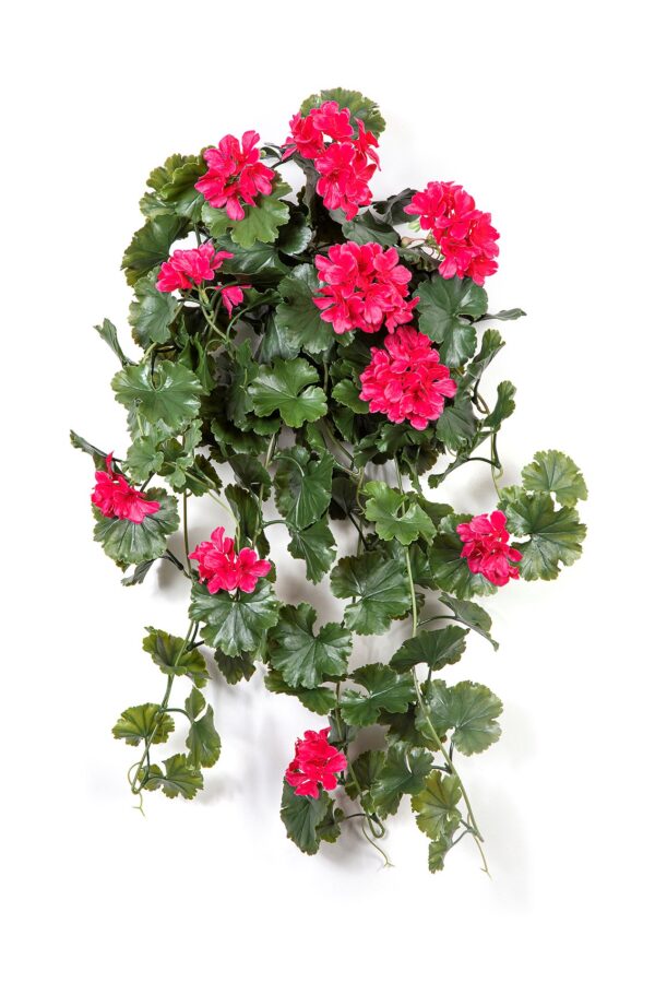 GERANIUM SOSPESA B, VIOLET- 66CM UV RESISTENTE