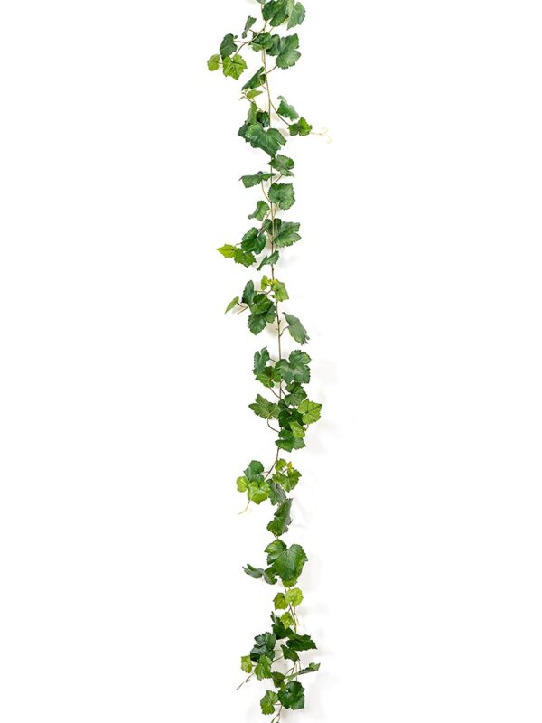 GRAPE IVY VINE VERDE 230 CM - 230CM