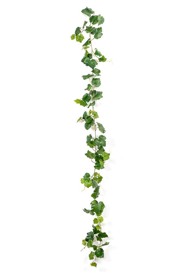 GRAPE IVY VINE VERDE 230 CM - 230CM