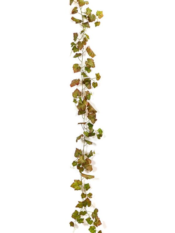 GRAPE IVY VINE AUTUMN 230 C - 230CM