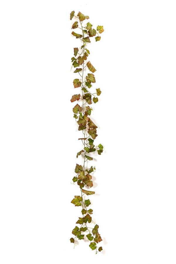 GRAPE IVY VINE AUTUMN 230 C - 230CM