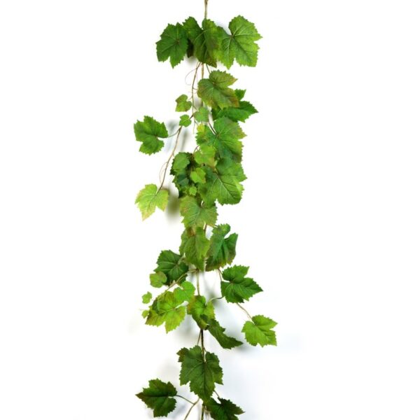 GRAPE NATURAL FOGLIA GARLA - 180CM