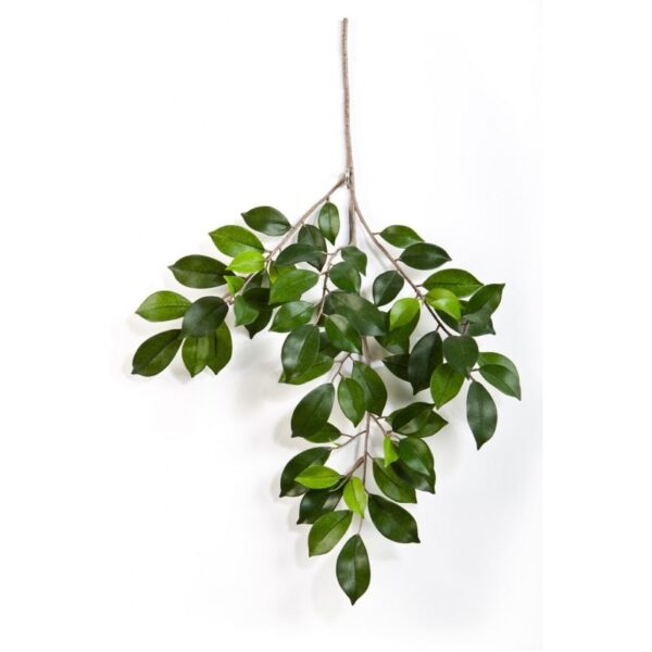 FICUS FOLIA SPRAY X 64 - 48CM