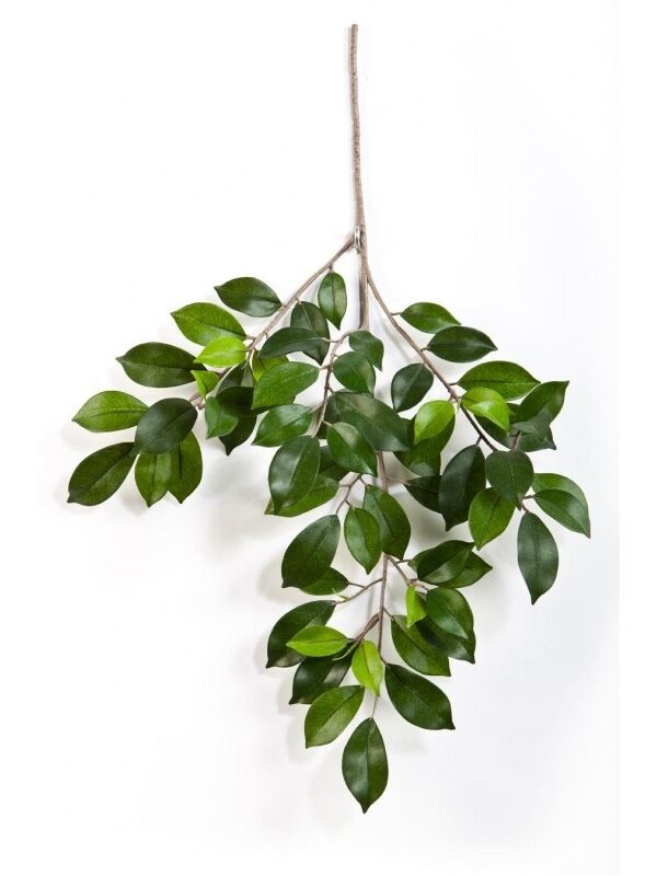 FICUS FOLIA SPRAY X 64 - 48CM