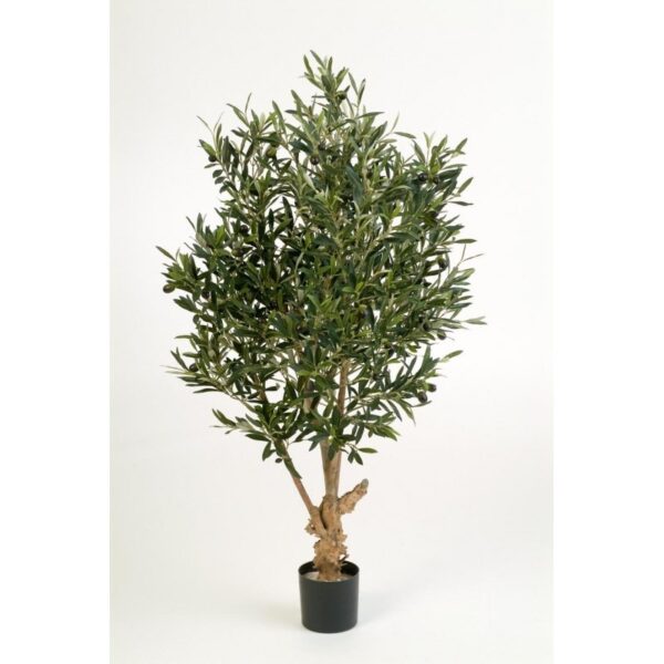 OLIVE NATURAL TWISTED TREE - 150CM