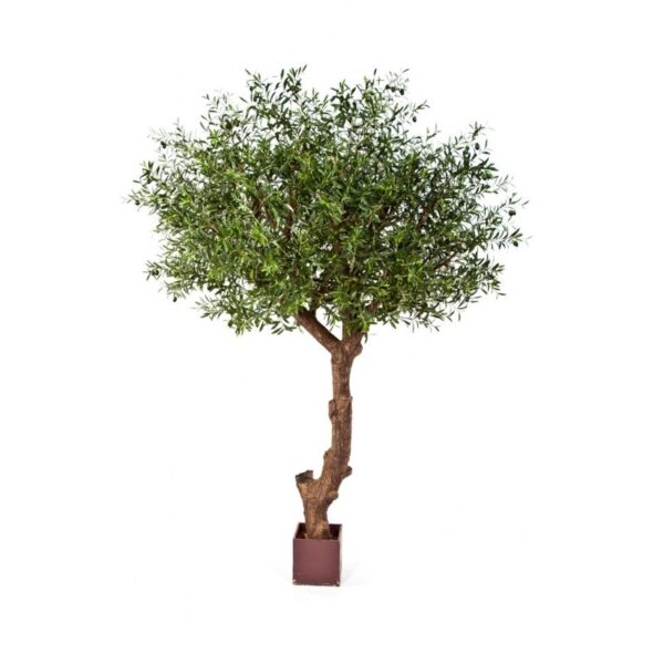 OLIVE NAT, TREE POLY TR - 270CM