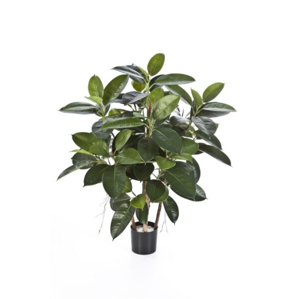 RUBBER PIANTA - 90CM