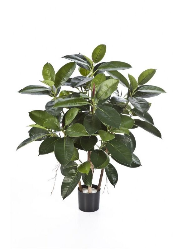 RUBBER PIANTA - 90CM