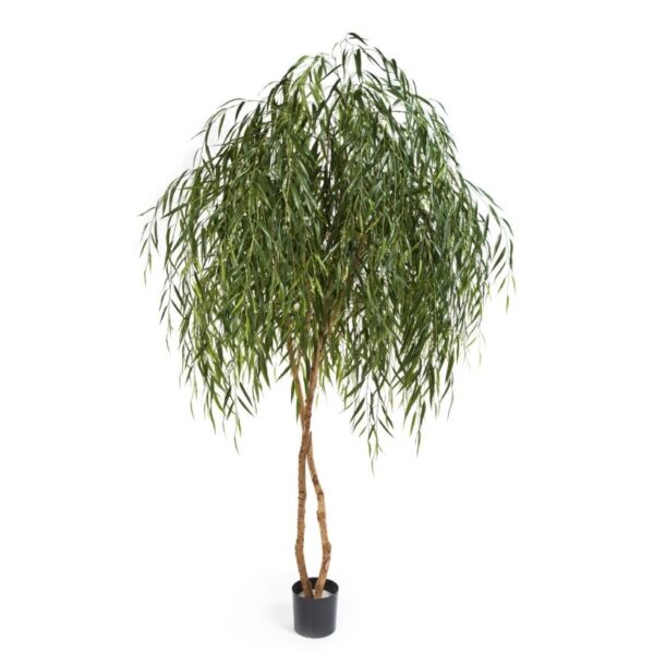 WILLOW TREE - 240CM
