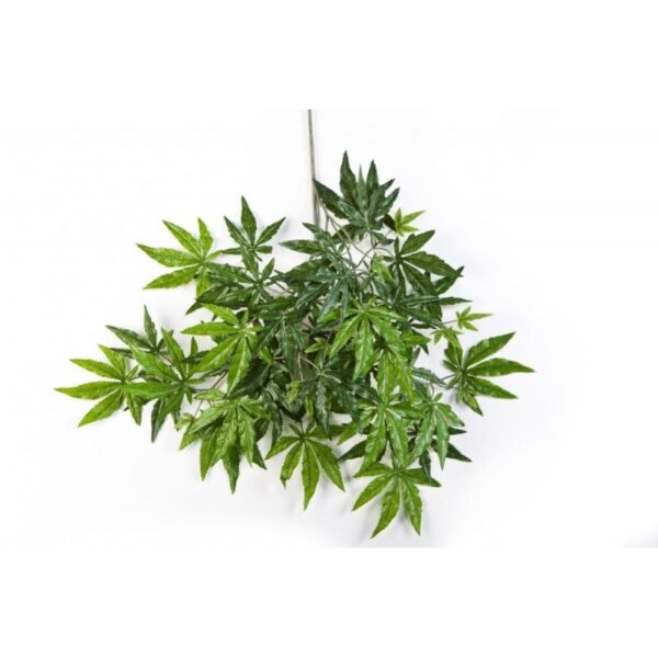 ACERO JAPANESE SPRAY - 63CM