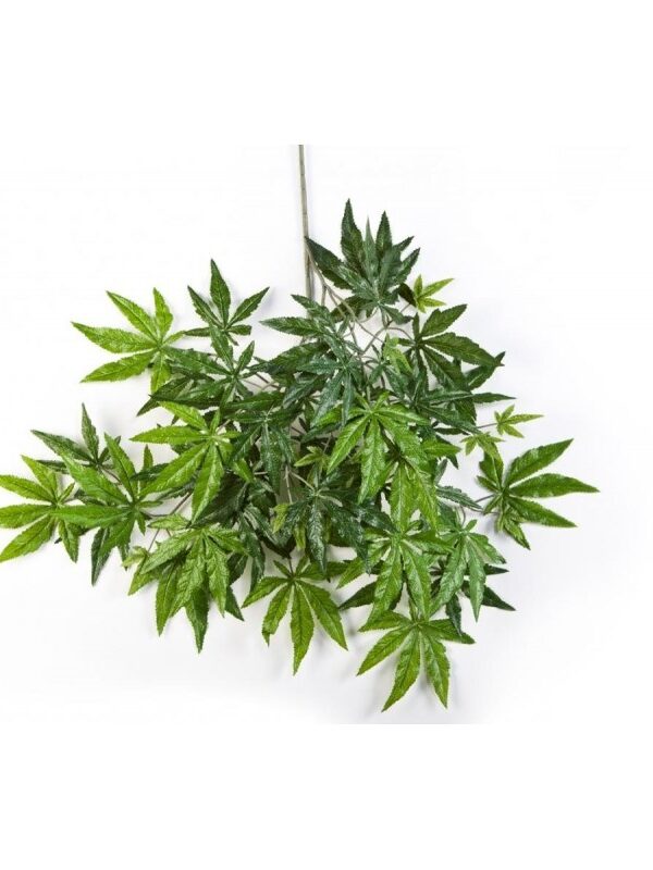 ACERO JAPANESE SPRAY - 63CM