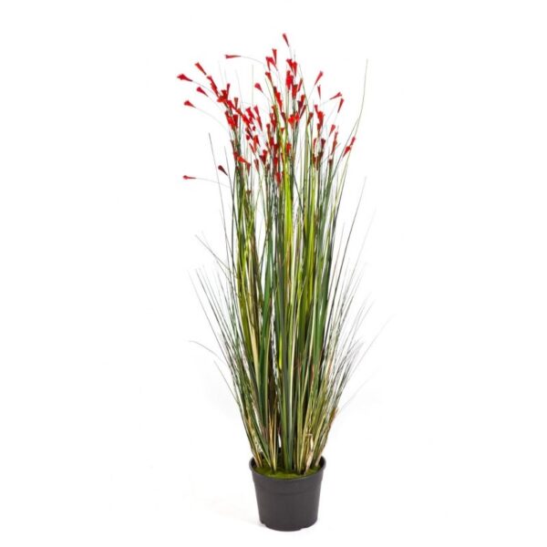 CORAL GRASS W/ROSSO FLOWER - 120CM