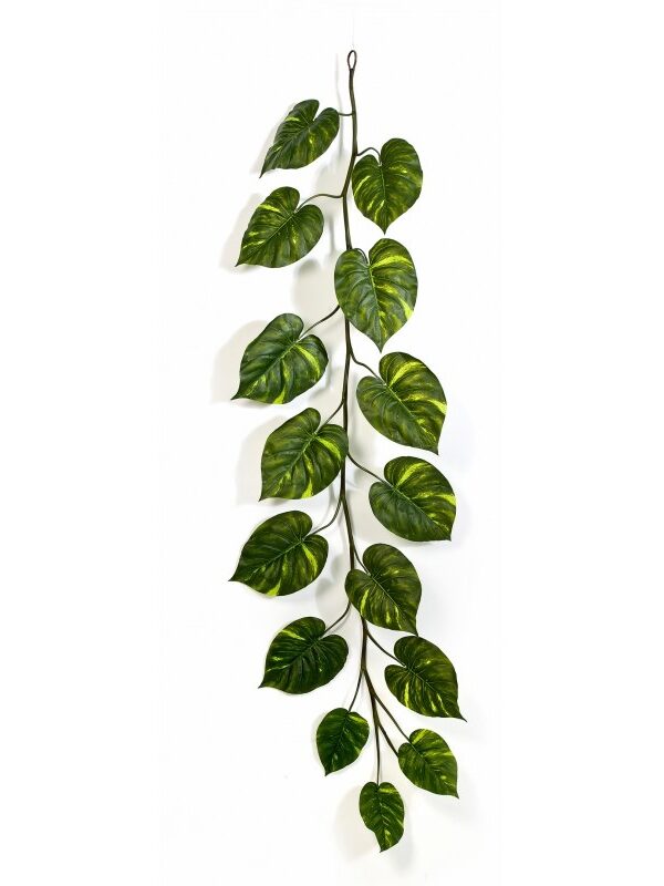 POTHOS GIANT GARLAND X 15 - 230CM