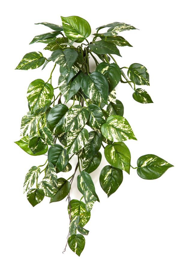 POTHOS SOSPESA CESPUGLIO - 66CM FIRE RESISTANT