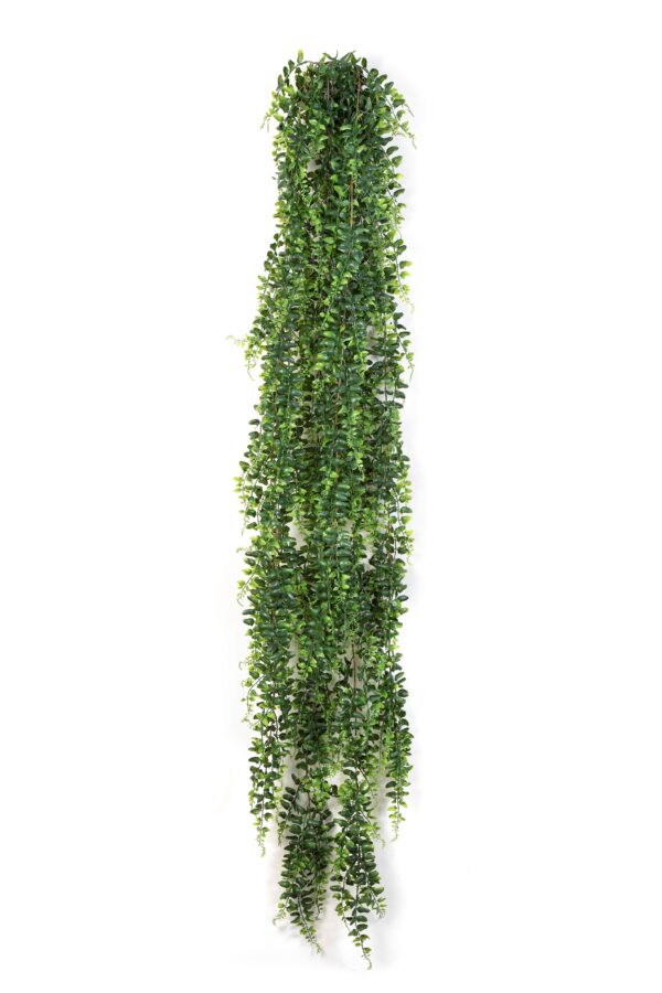 FERN BOSTON SOSPESA CESPUGLIO 14 - 140CM
