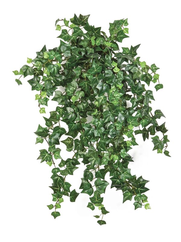 MINI ENGLISH IVY X 560