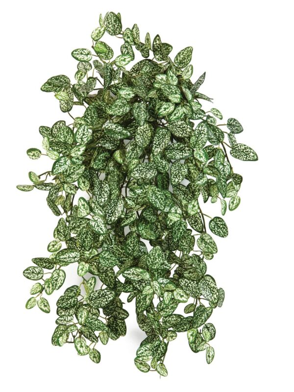 MINI HYPOESTES X 560