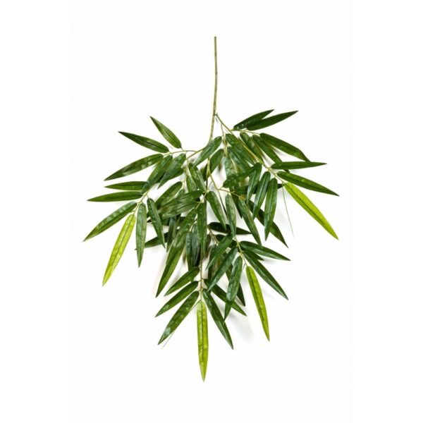 BAMBOO NEW SPRAY - 65CM