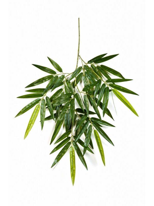 BAMBOO NEW SPRAY - 65CM