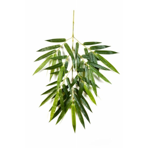 BAMBOO NEW GIANT SPRAY X 49 - 90CM