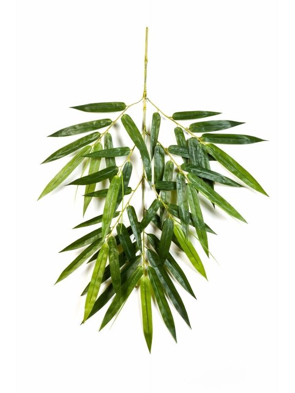 BAMBOO NEW GIANT SPRAY X 49 - 90CM