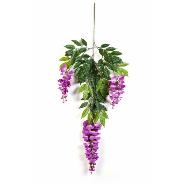 WISTERIA DELUXE SPRAY