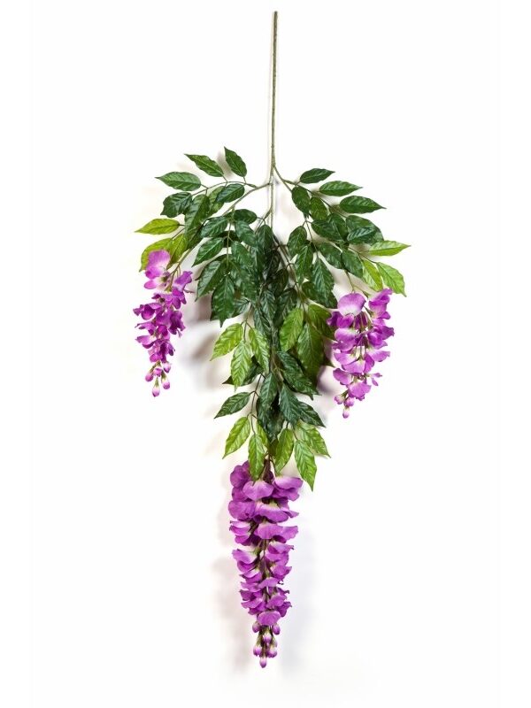 WISTERIA DELUXE SPRAY