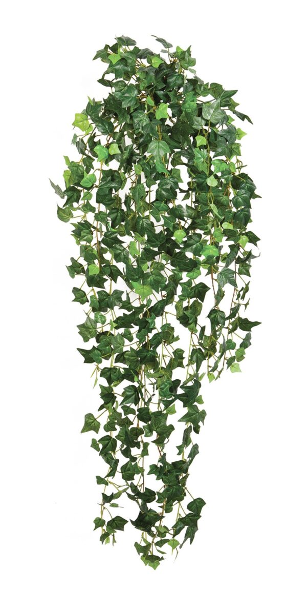 IVY ENGLISH SOSPESA CESPUGLIO - 85CM