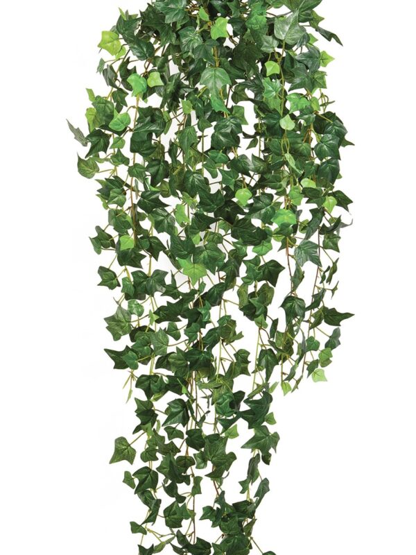 IVY ENGLISH SOSPESA CESPUGLIO - 85CM