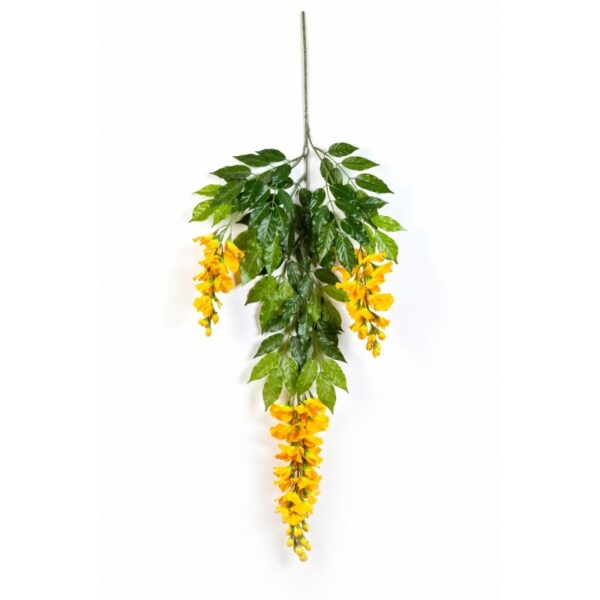 WISTERIA DELUXE SPRAY