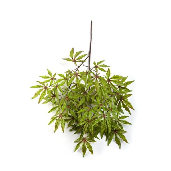 ACERO JAPANESE SPRAY - 63CM