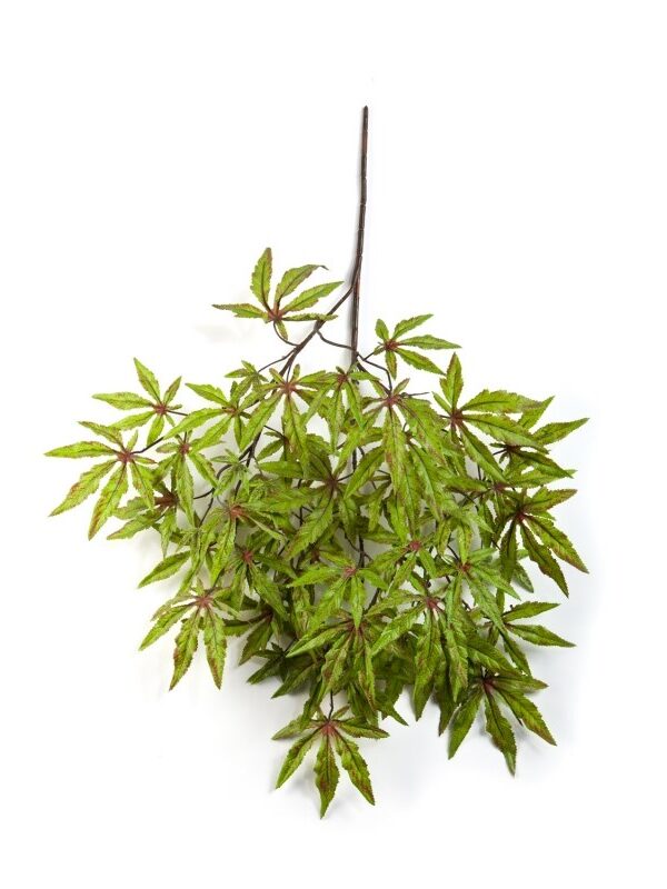 ACERO JAPANESE SPRAY - 63CM