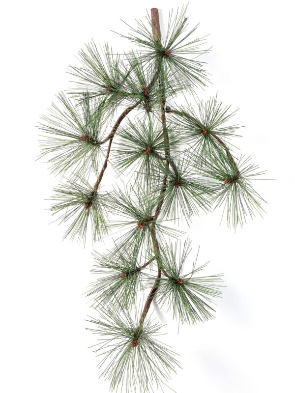 PINE SPRAY X 13 - 67CM