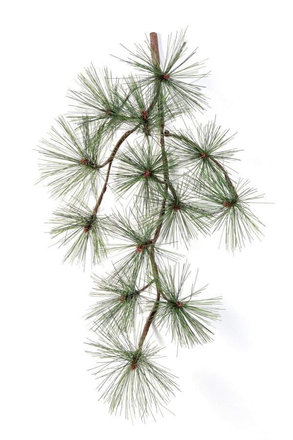 PINE SPRAY X 13 - 67CM