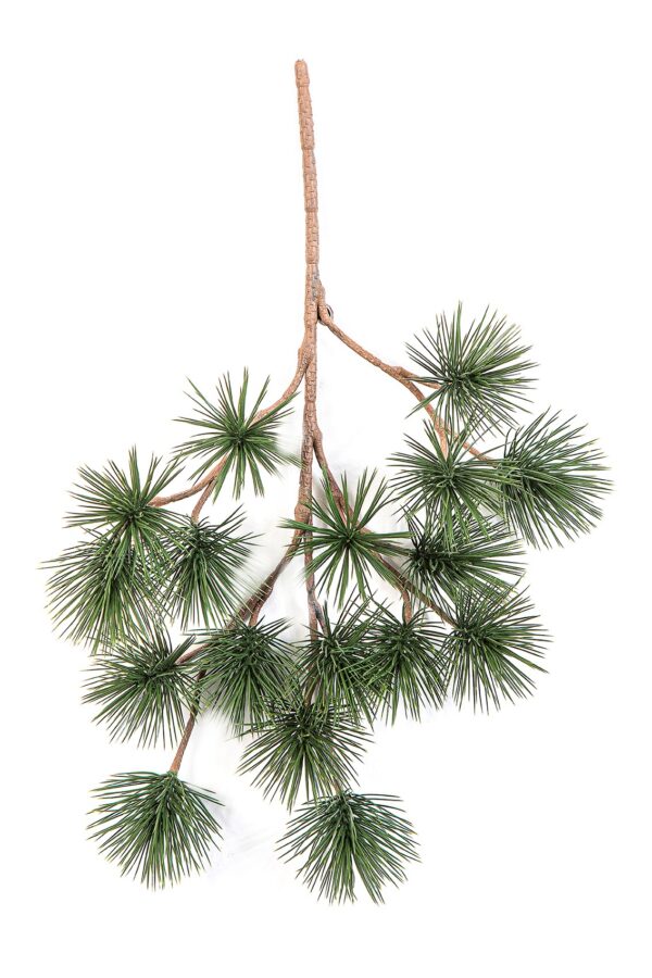 PINUS BONSAI PARVIFLOR SPRA - 45CM