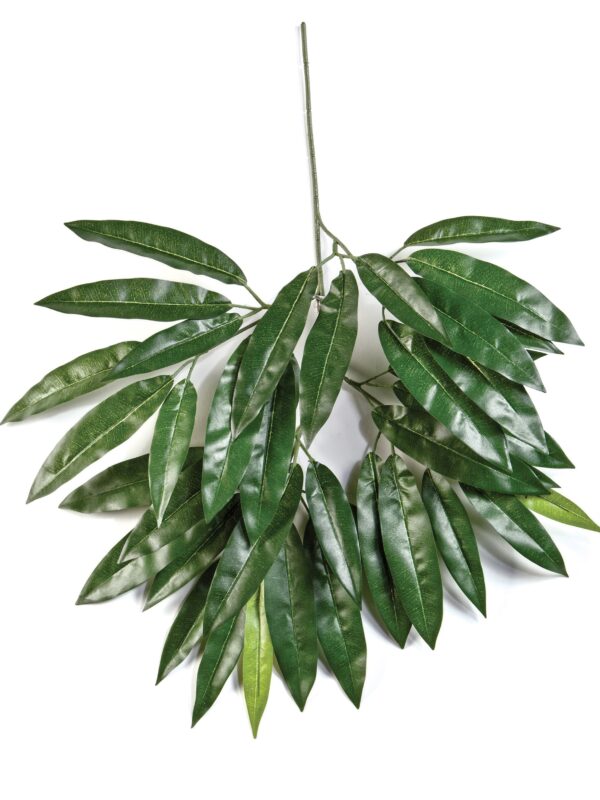 MANGO SPRAY X 41 LVS - 55CM