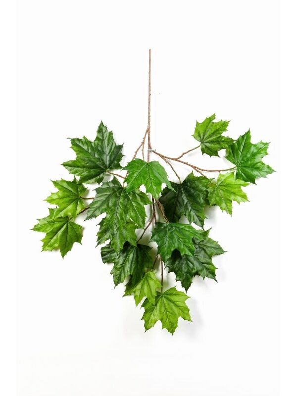ACERO NORTH SPRAY - 60CM