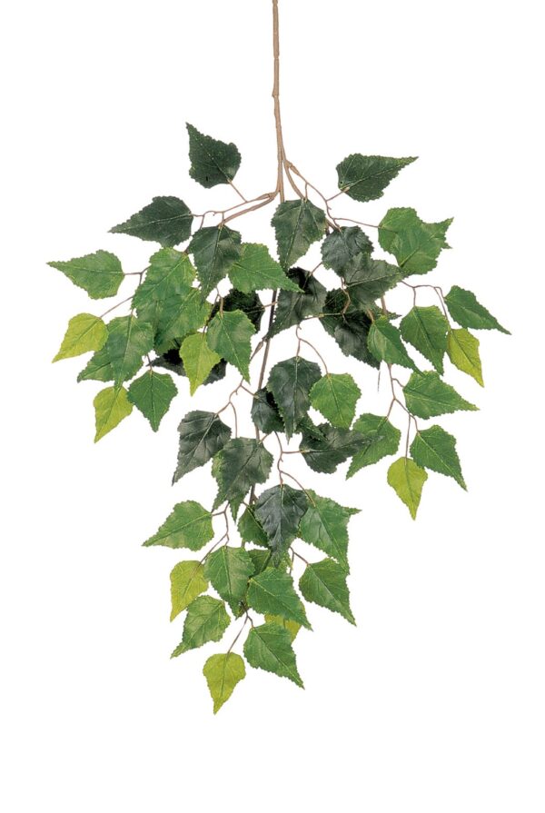 BIRCH SPRAY X 3