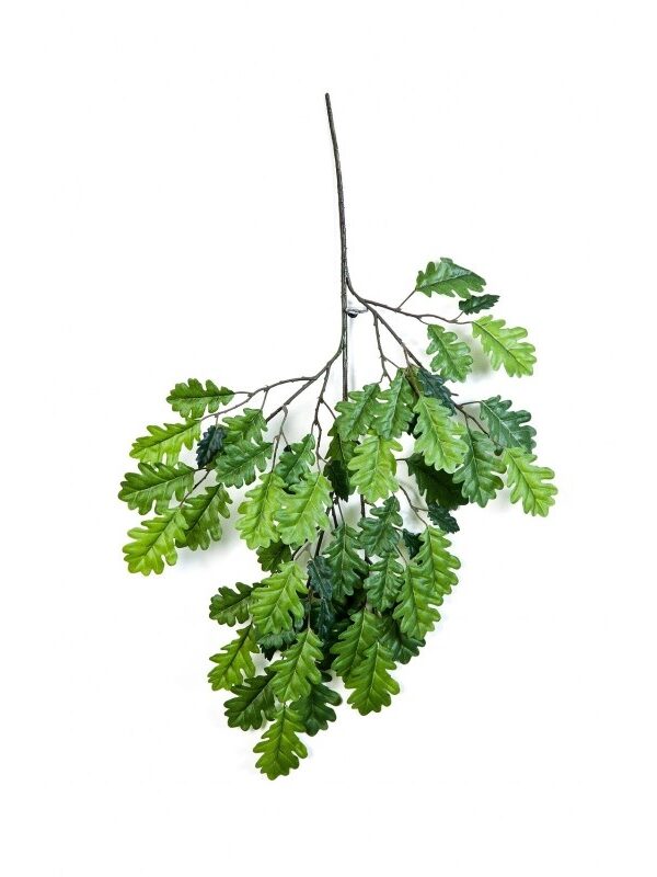 QUERCIA SPRAY