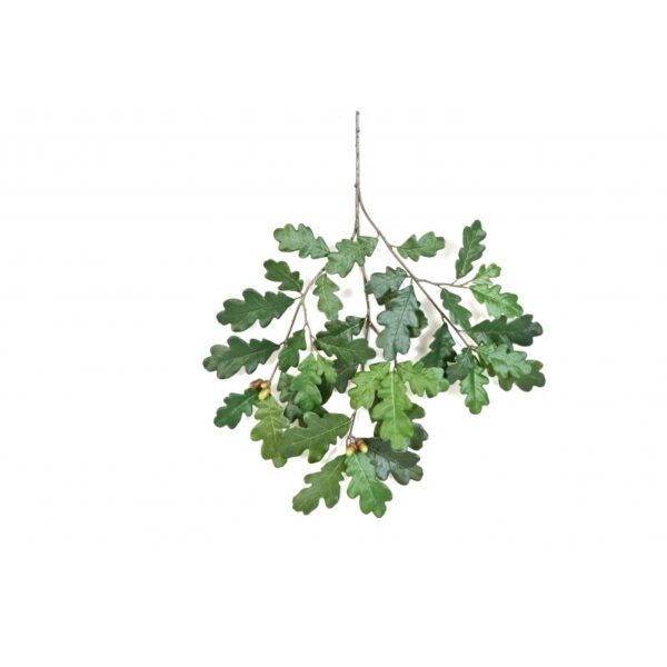 QUERCIA COMMON SPRAY WITH FRUIT - 60CM