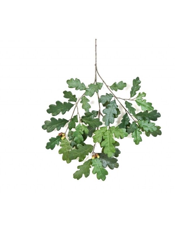 QUERCIA COMMON SPRAY WITH FRUIT - 60CM
