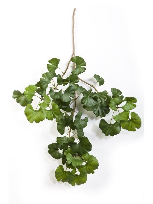 GINGKO SWEET SPRAY X 52CM FIRE RESISTANT