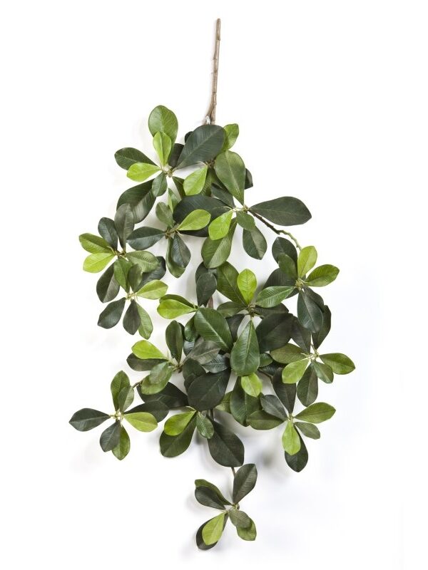 OLIVE ORIENTAL SPRAY - 55CM