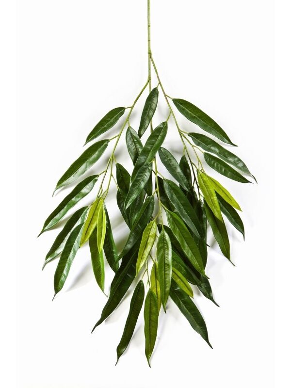 LONGIFOLIA ROYAL SPRAY - 83CM